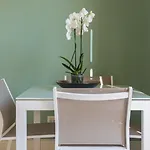I Mori Di Porta Nuova & Terrace Bed & Breakfast